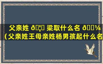 父亲姓 🦍 梁取什么名 🐼 字（父亲姓王母亲姓杨男孩起什么名好）